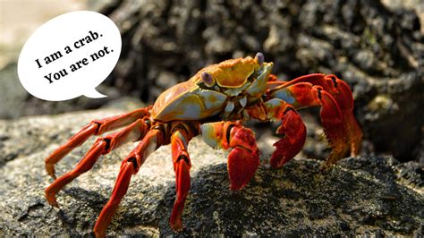 crab mentality in tagalog|Opinions .